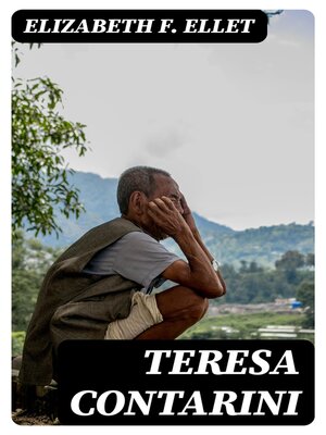 cover image of Teresa Contarini